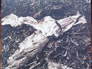 David Sylvian + Holger Czukay ?– Plight & Premonition Nr MINT Vinyl