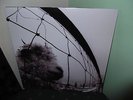 Pearl Jam VS Original Epic 53136 Vinyl LP 1993 NearMint