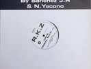 maxi 45t rkz promo rika zarai zaraï oriental hava naguila deux remixes 2000 RARE