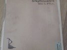 Babyshambles Down In Albion Album Vinyl
