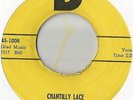Novelty Rockabilly 45 The Big Bopper Chantilly Lace on D