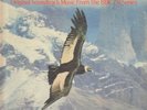 LP:The Flight Of The Condor(V/A)(TAS LIST AUDIOPHILE INTI ILLIMANI) (BBC record)