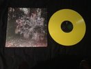 La Dispute Wildlife Tour Press Yellow/Yellow /168 Record Touche Amore