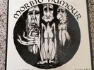 Anti-System Morbid Humour Split UK punk anti sect discharge broken bones