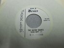 THE GATOR SHADES (aka Kenny & Kasuals),:DOWN IN MEXICO  MARK LTD., RARE 45