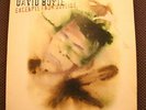 DAVID BOWIE Excerpts From Outside Vinyl LP Rare Orig 1995 The Next Day Heathen