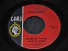 Dee Dee Sharp, Standing In The Need Of Love / I Really Love You, Cameo 375