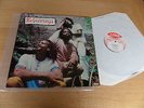 The Viceroys BRETHREN AND SISTREN Rare ROOTS LP CSA Killer ROOTS EX+