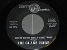 RARE PSYCH 45 The Glass Harp - Where Did My World Come From?- Phil Keaggy