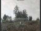 Saint Bartlett - Jurado, Damien - LP VINYL - Fast UK Post