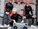 Solid Gold Hits - Beastie Boys - LP VINYL - Fast UK Post