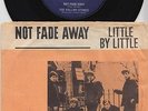 ROLLING STONES * Not Fade Away * 1964 DANEMARK 45 * Unique Picture Sleeve
