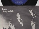 ROLLING STONES * Paint It Black * 1966 DANEMARK 45 *