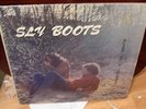 SLY BOOTS Notes on a Journey LP Private Press 70's Rural Psych Acid Archives