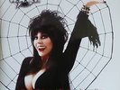 W.A.S.P.:  Elvira, mistress of the dark EXTREME RARE 2 lp