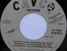 Rare Modern Sweet Soul 45 - Fish - This Is Life - CAVCO mp3 M- Killer