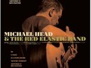 VINYL COPY Michael Head & The Red Elastic Band : Artorius Revisited  (2013)