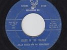 JOLLY ROGER & THE POPPITEERS Joker In The Fokker 45 TX garage psych HEAR