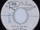 Reggae 45 DELROY WILSON Spit In The Sky RND HEAR