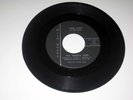 Ohio Garage Fuzz 45 RPM The Mersey Men MISS ANN/I CAN TELL Wild Woods