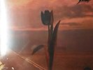 Parachute / Pretty Things  / MINT SEALED LP