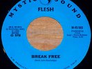 Flesh-Break Free Mystic Sound M-503 45 private CA hard rock psych HEAR