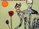 Nirvana Incesticide 2x LP 200g Vinyl NEW