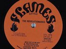 REVOLUTIONARIES Meditation In Dub FLAMES LP