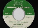 Funk 45 FIREBOLTS Everybody Party Get Down / Hum Along Song on Greenback NM