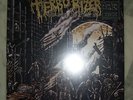 Terrorizer   Hordes Of Zombies   clear LP+ flexi 7