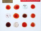 Peter Gabriel - Scratch My Back / And I'll Scratch Yours    2LPNeu