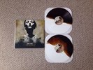 Converge | Jane Doe | Equal Vision | Brown & White | /550