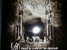 Take a Look in the Mirror by Korn (Vinyl, Nov-2003, 2 Discs, Epic (USA))