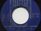 PSYCH/GARAGE/PUNK 45 Soul Benders Seven and Seven Is Mala LOVE ARTHUR LEE HEAR