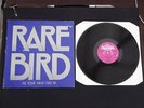RARE BIRD AS YOUR MIND FLIES BY 12