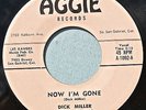 DICK MILLER 45 Now I'm Gone AGGIE 1002  VG+ ORIGINAL 1960 ROCKABILLY