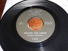 Wanda Fulbright 60s R&B BLUES 45 Walkin and Cryin / Dont Advertise Your Man