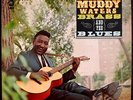 * MUDDY WATERS Brass & the Blues RARE GUITAR BLUES Chess Stereo LPS 1507 