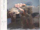 Four Units,Akira Miyazawa,Masahiko Sato,Masahiko Togashi,Japan LP with obi