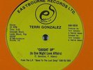 TERRI GONZALEZ Caught Up / How Good It Is 12