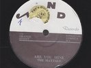 MAYTALS hey hey girl/are you mine REGGAE 45 on ND