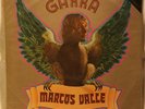 MARCOS VALLE GARRA 1971 ODEON BRAZIL LP MONO  ORIGINAL SOUL FUNK GROOVIE