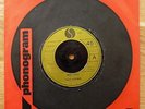 RADIO BIRDMAN 7” from 1978 ‘Anglo Girl Desire’ and ‘What Gives’ PUNK CLASSIC