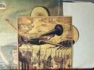In the Aeroplane Over the Sea-Neutral Milk Hotel (LP First Pressing with insert)