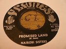 Nairobi Sisters Promised Land Rare Killer Roots 7