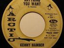 KENNY HAMBER anything you want ARCTIC dj northern soul 45 RARE *Listen*