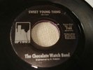 THE CHOCOLATE WATCH BAND 45 RECORD SWEET YOUNG THING BABY BLUE