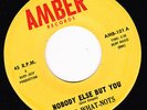 GARAGE 45 RPM -THE WHAT-NOTS on AMBER RECORDS