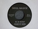 TEFTELLER Garage Rock / Soul R&B Split Shades of Sound / Wendell Western Hear It