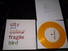 CITY AND COLOUR Fragile Bird 7